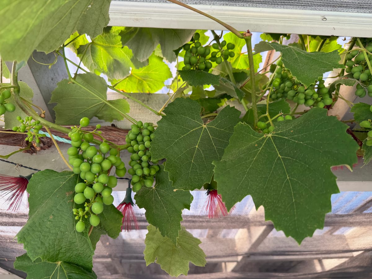 New Zealand Day 27: Blenheim to Wellington