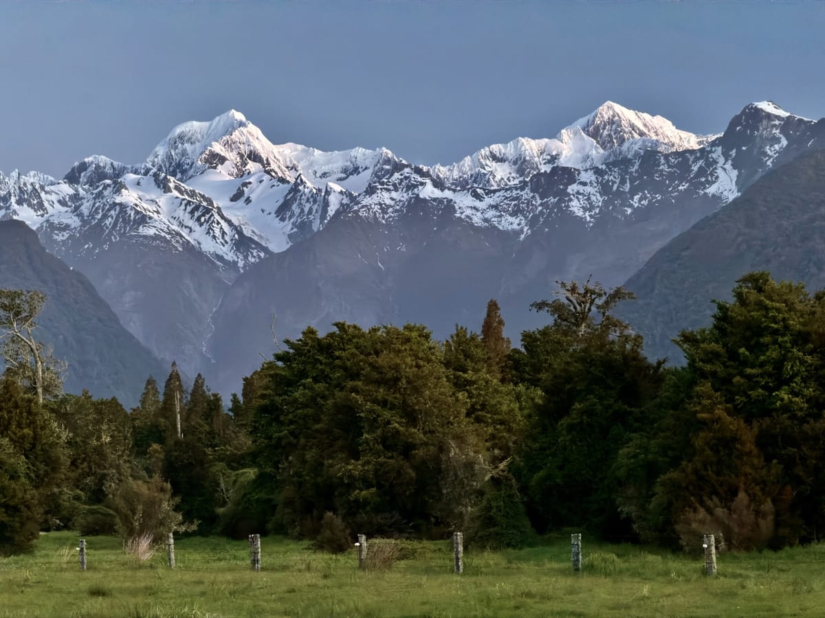 New Zealand Day 14: Fox Glacier
