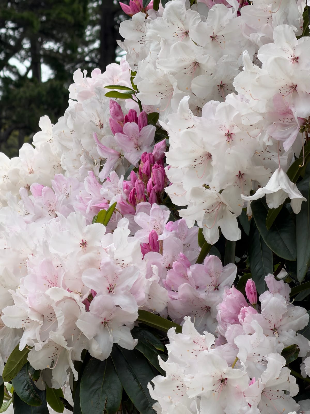 New Zealand Day 09: Explore Wellington