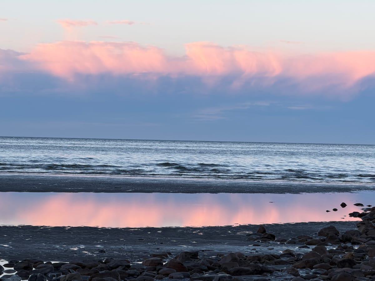 New Zealand Day 10: Wellington to Takaka