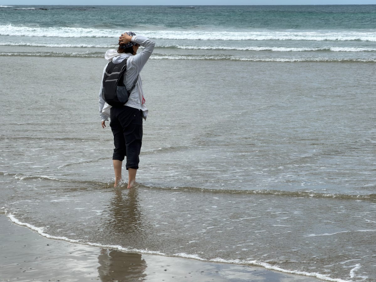 New Zealand Day 20: Cromwell to Dunedin