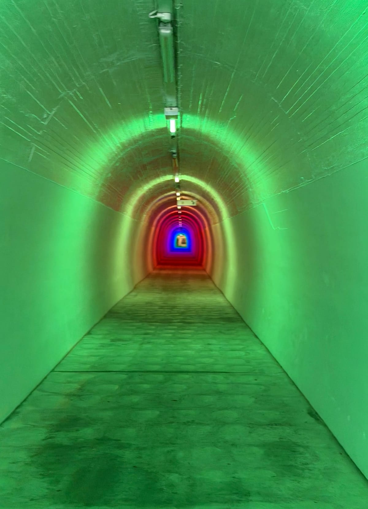 New Zealand Day 08: New Plymouth to Wellington