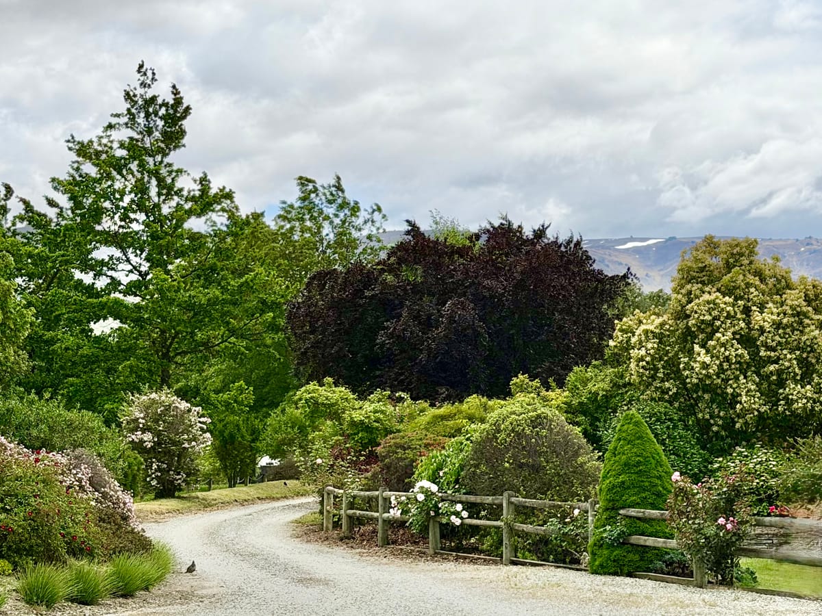 New Zealand Day 18: Cromwell part 1