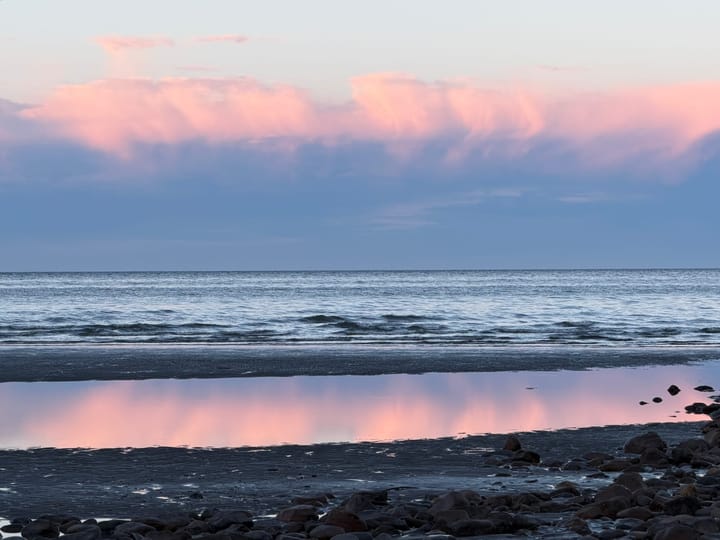 New Zealand Day 10: Wellington to Takaka