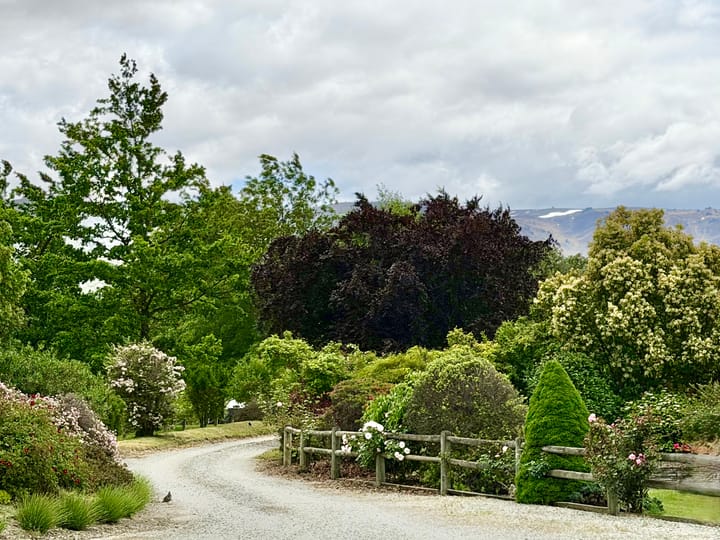 New Zealand Day 18: Cromwell part 1